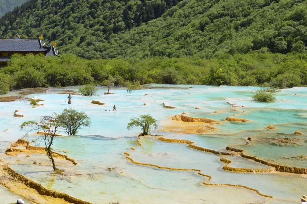 救援紫色生物